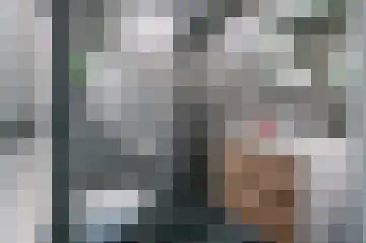 Parklaan 33 Spijkenisse thumbnail 4