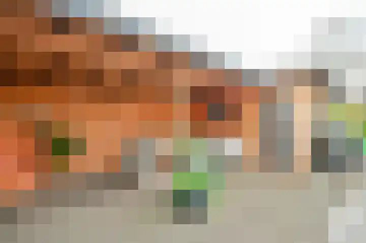 Parklaan 33 Spijkenisse thumbnail 5