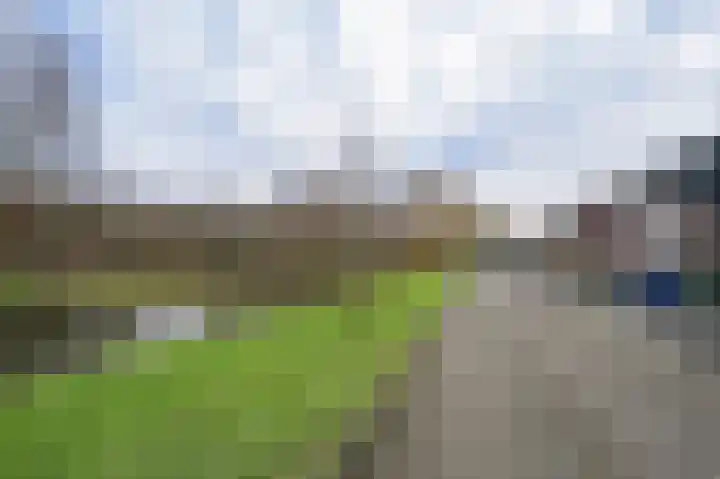 Parklaan 33 Spijkenisse thumbnail 8