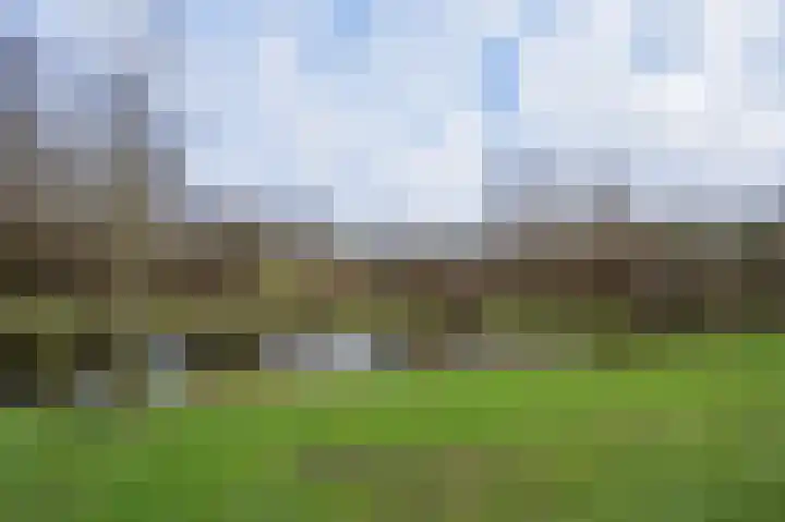 Parklaan 33 Spijkenisse thumbnail 9