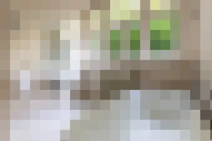 Parklaan 37 A Bussum thumbnail 29