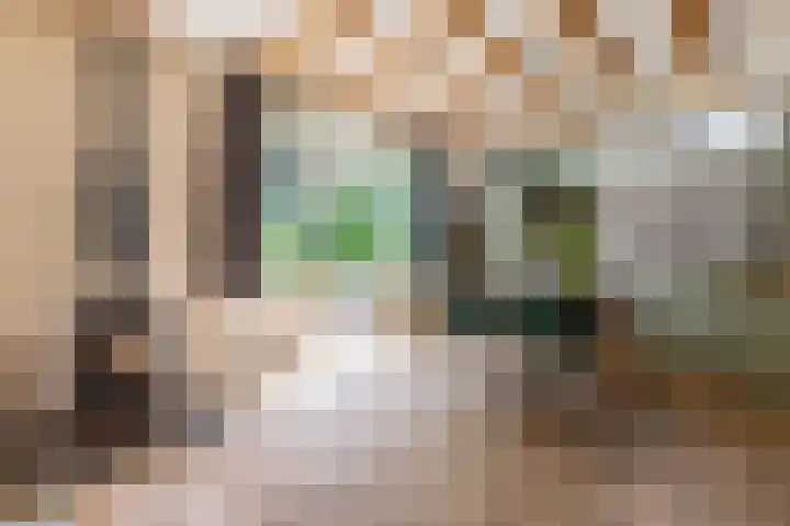 Parklaan 37 A Bussum thumbnail 47