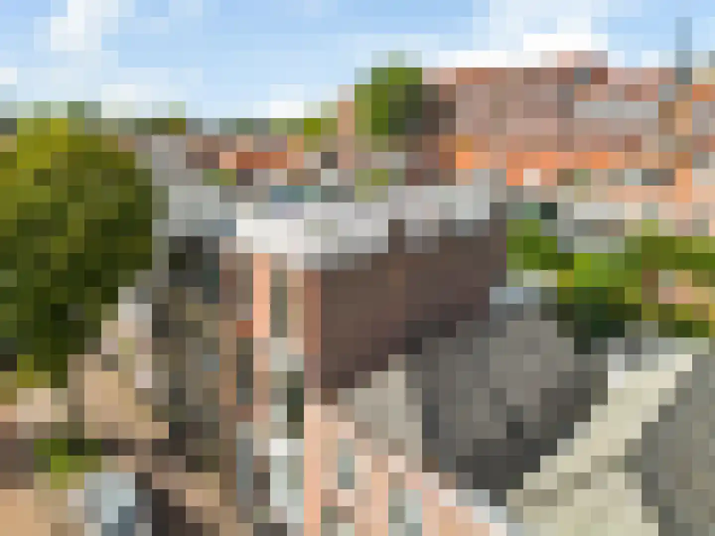 Parklaan 37 B Haarlem thumbnail 22