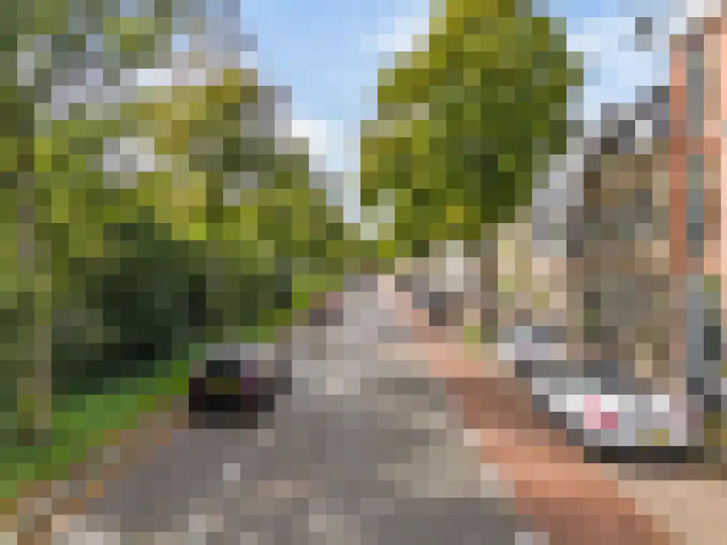 Parklaan 37 B Haarlem thumbnail 24
