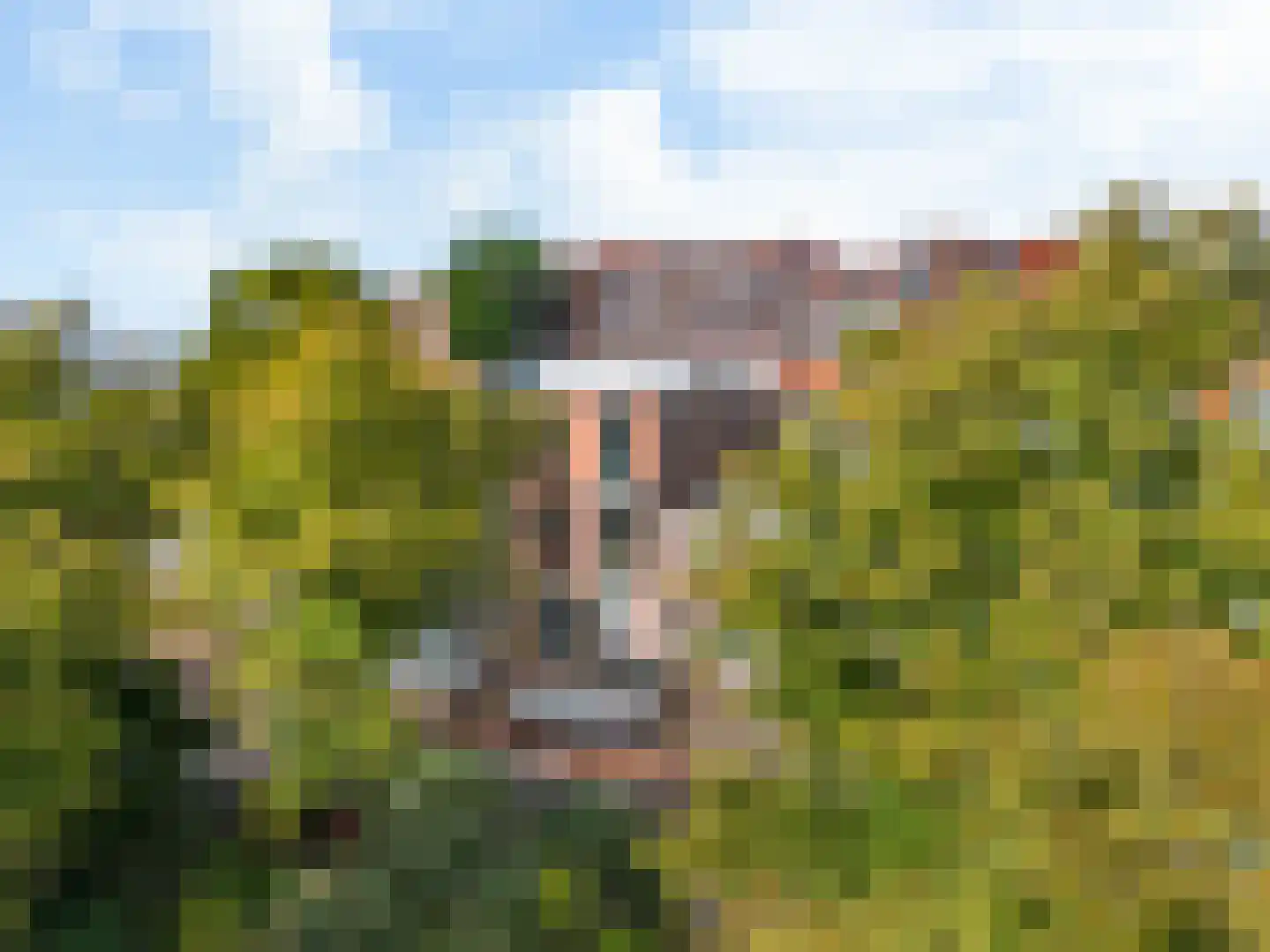 Parklaan 37 B Haarlem thumbnail 25