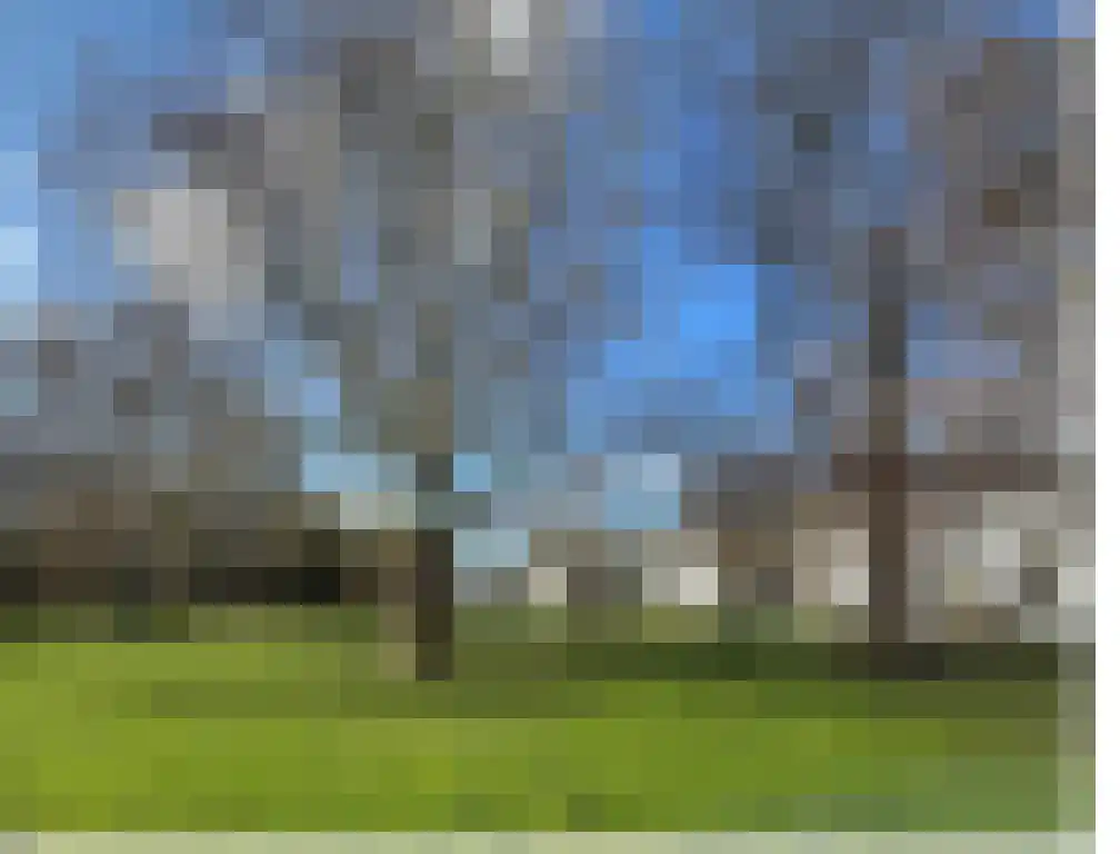 Parklaan 37 B Haarlem thumbnail 33