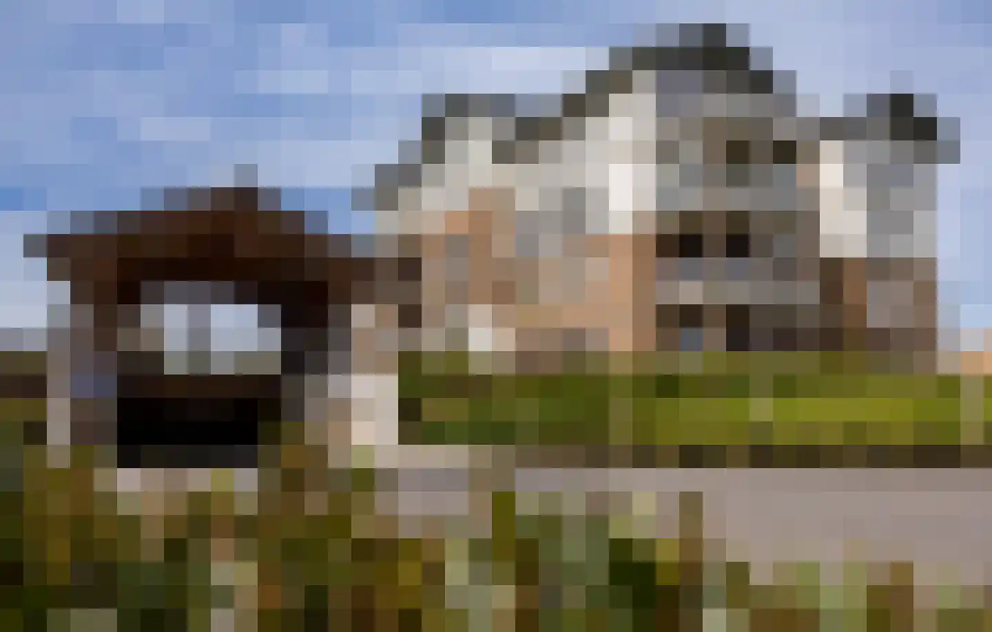 Parklaan 37 C Waddinxveen thumbnail 5