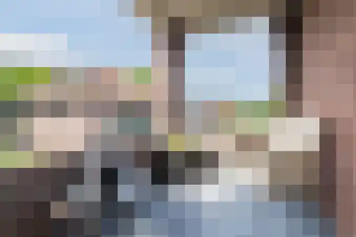 Parklaan 4 f Zaandijk thumbnail 11