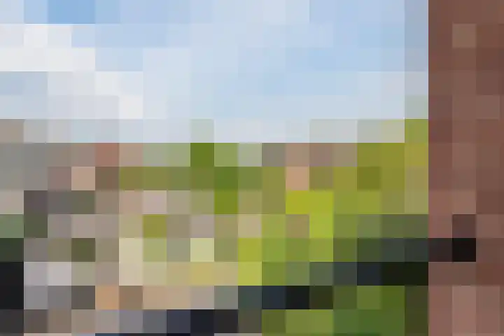 Parklaan 4 f Zaandijk thumbnail 12