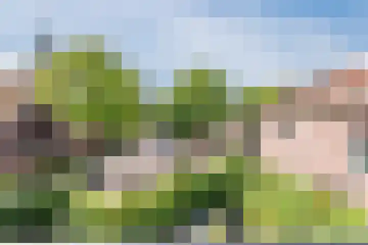 Parklaan 4 f Zaandijk thumbnail 13