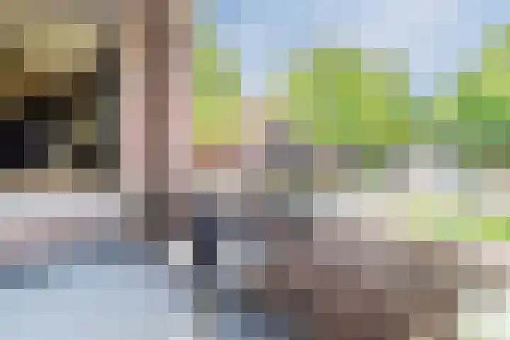 Parklaan 4 f Zaandijk thumbnail 14