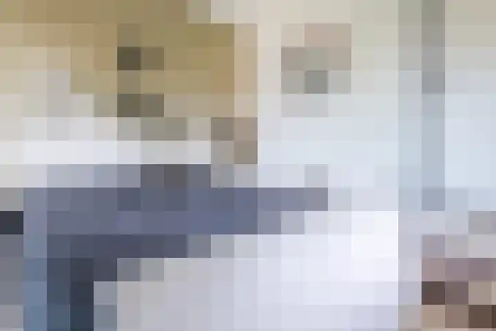 Parklaan 4 f Zaandijk thumbnail 21