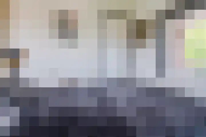 Parklaan 4 f Zaandijk thumbnail 22
