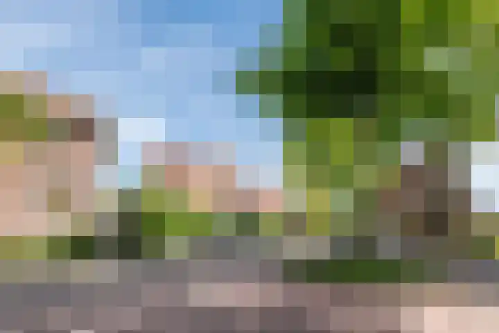 Parklaan 4 f Zaandijk thumbnail 30