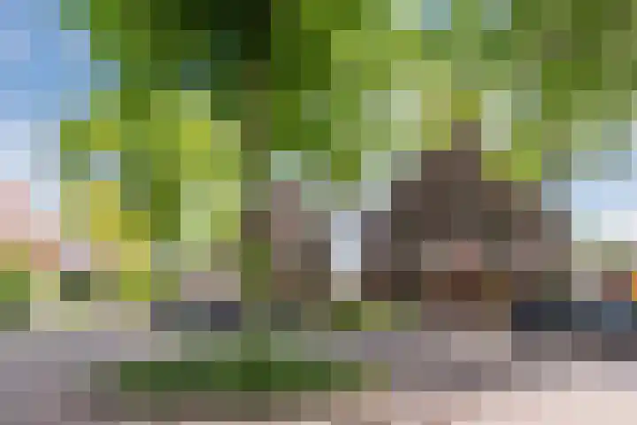 Parklaan 4 f Zaandijk thumbnail 32