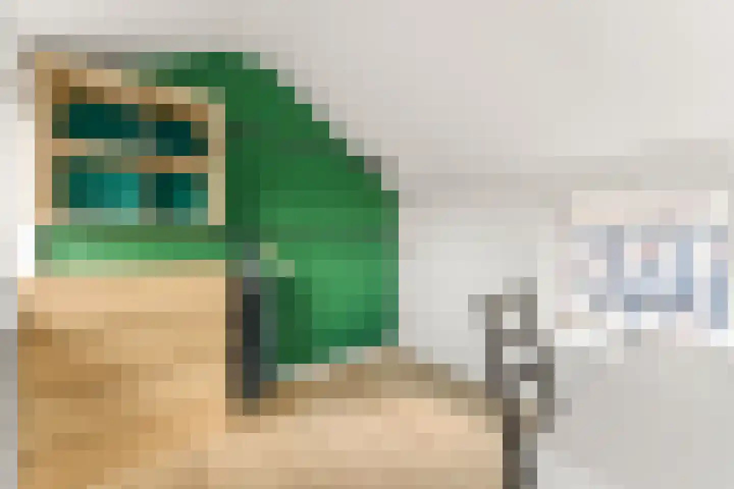 Parklaan 4 Hoevelaken thumbnail 28