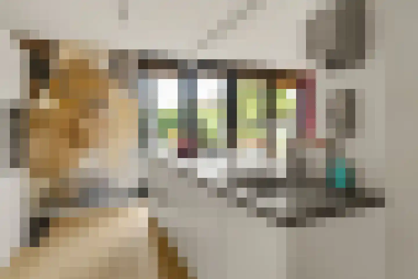 Parklaan 4 Hoevelaken thumbnail 4
