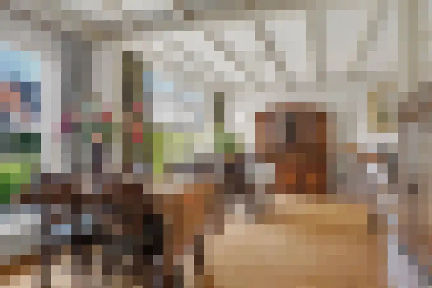 Parklaan 4 Made thumbnail 11