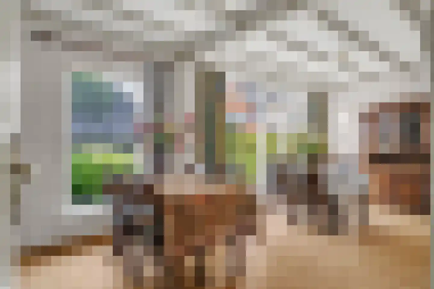 Parklaan 4 Made thumbnail 12