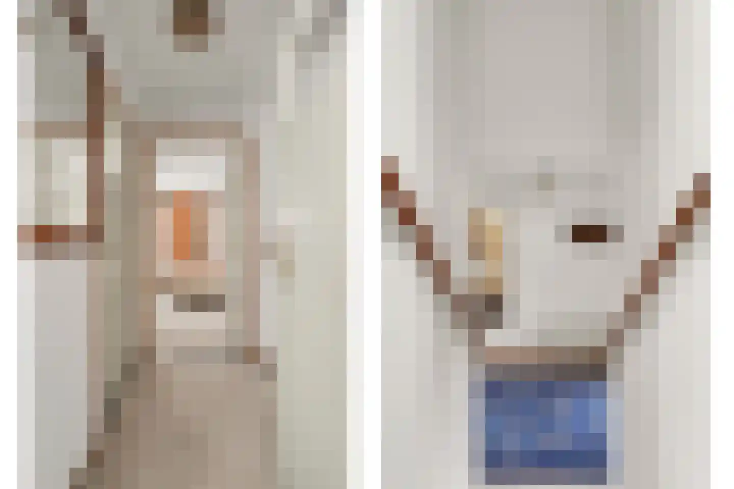 Parklaan 4 Made thumbnail 25
