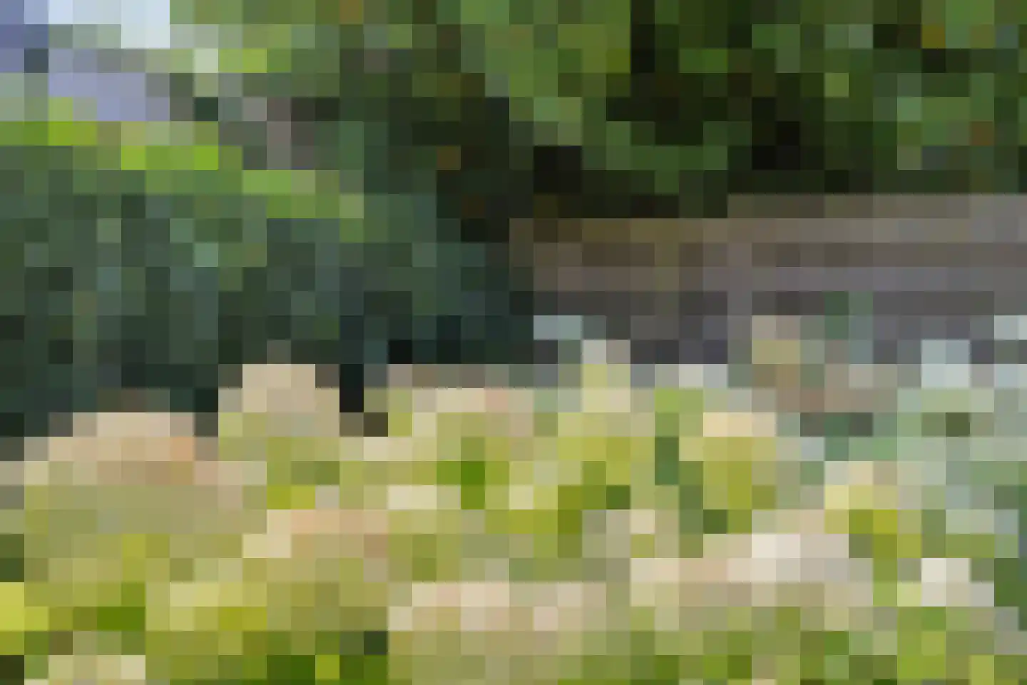 Parklaan 4 Made thumbnail 42