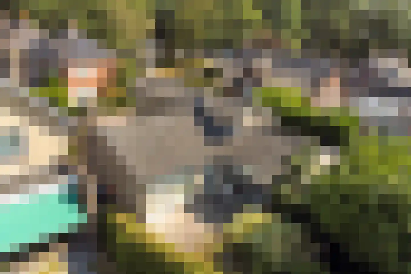 Parklaan 4 Made thumbnail 51