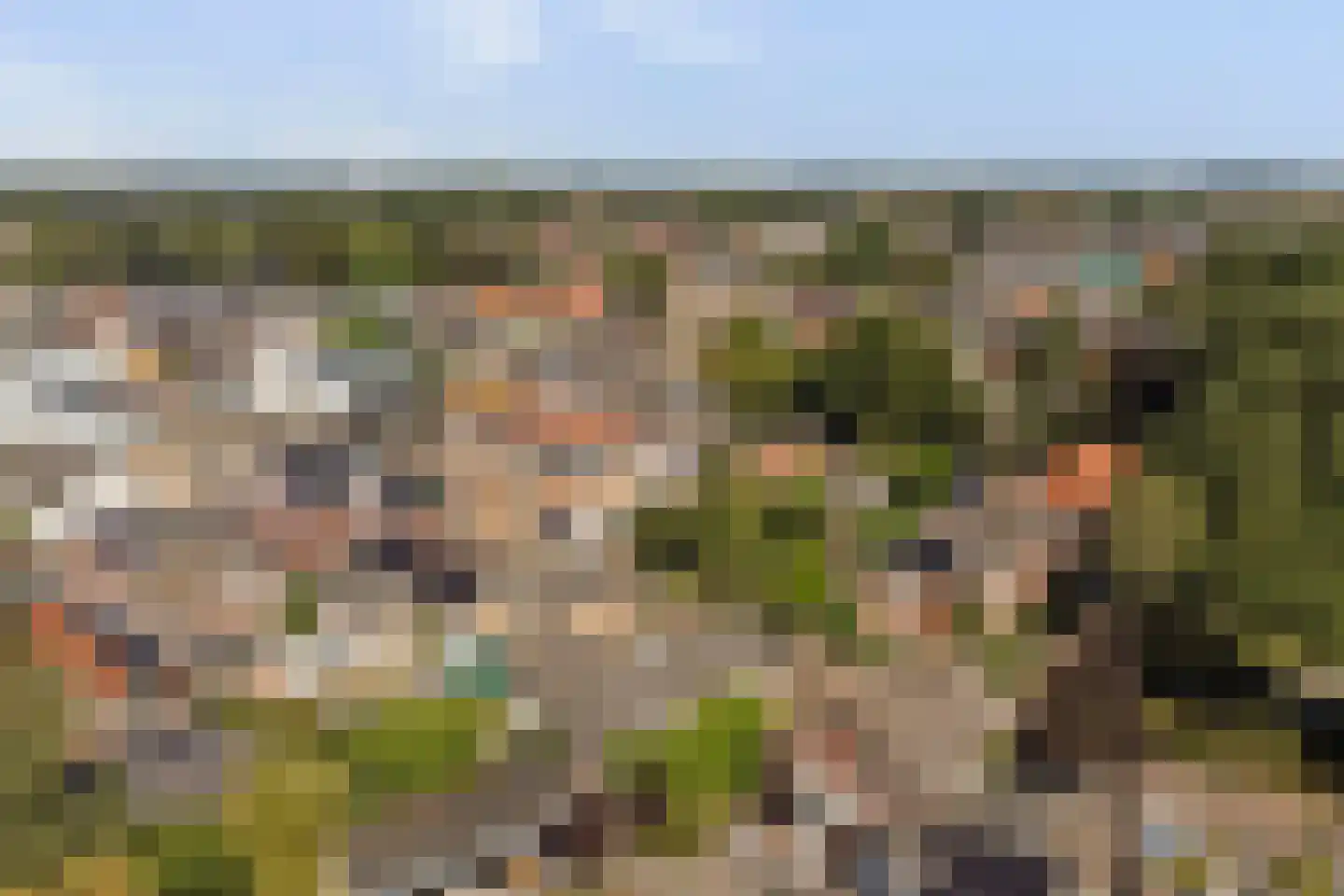 Parklaan 4 Made thumbnail 53