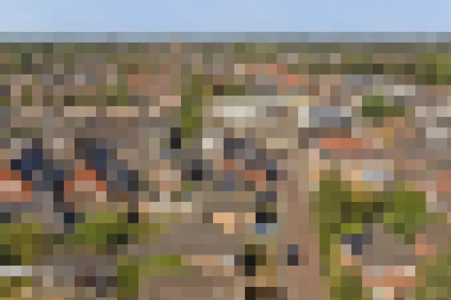 Parklaan 4 Made thumbnail 54