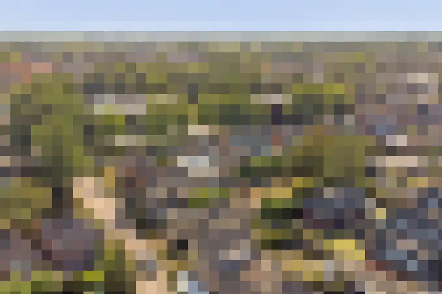 Parklaan 4 Made thumbnail 57
