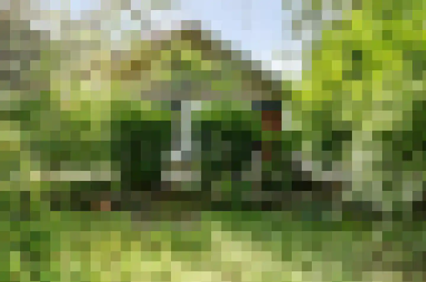 Parklaan 4 Putte thumbnail 17