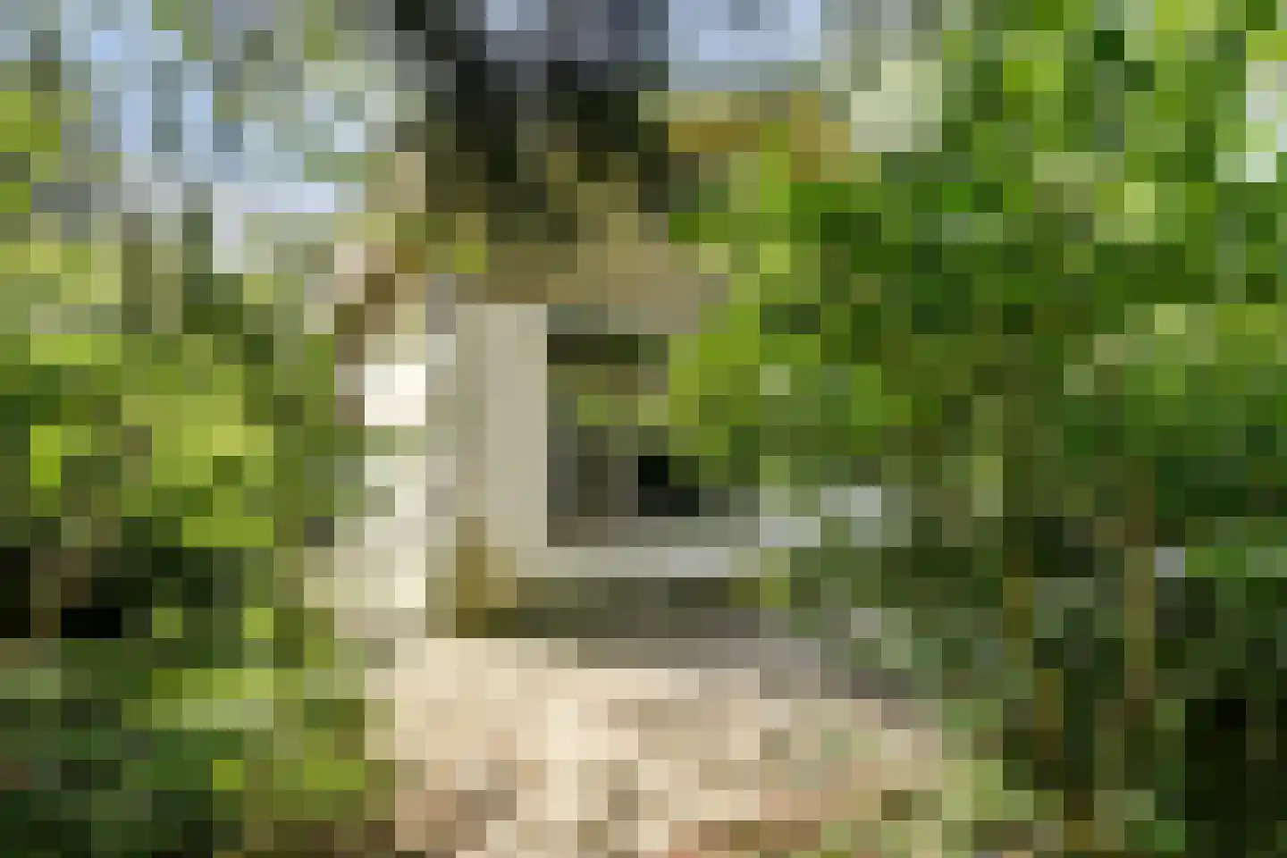 Parklaan 4 Putte thumbnail 18