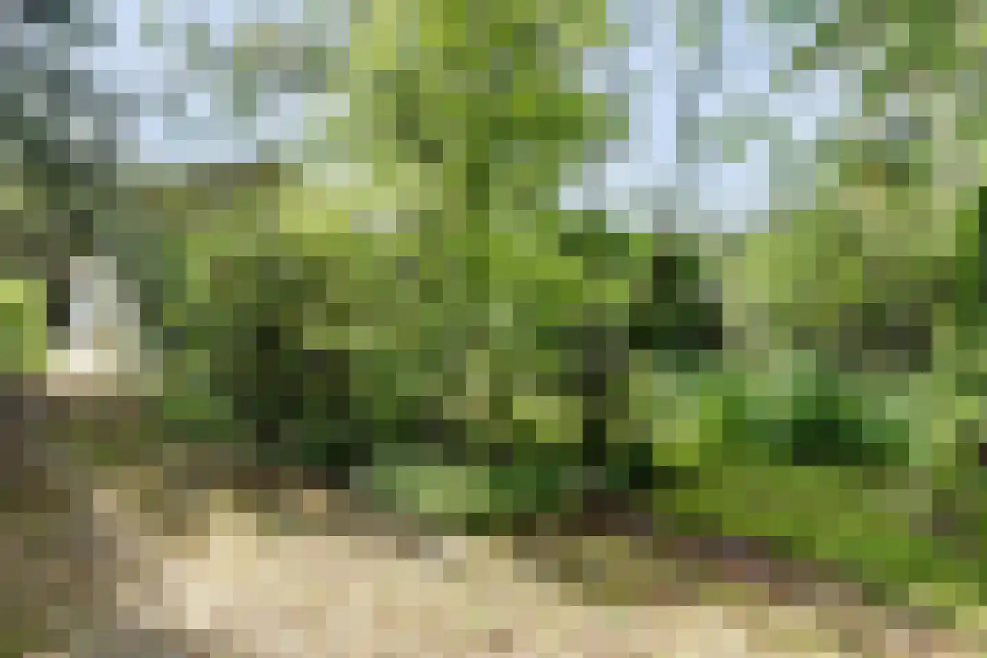 Parklaan 4 Putte thumbnail 19