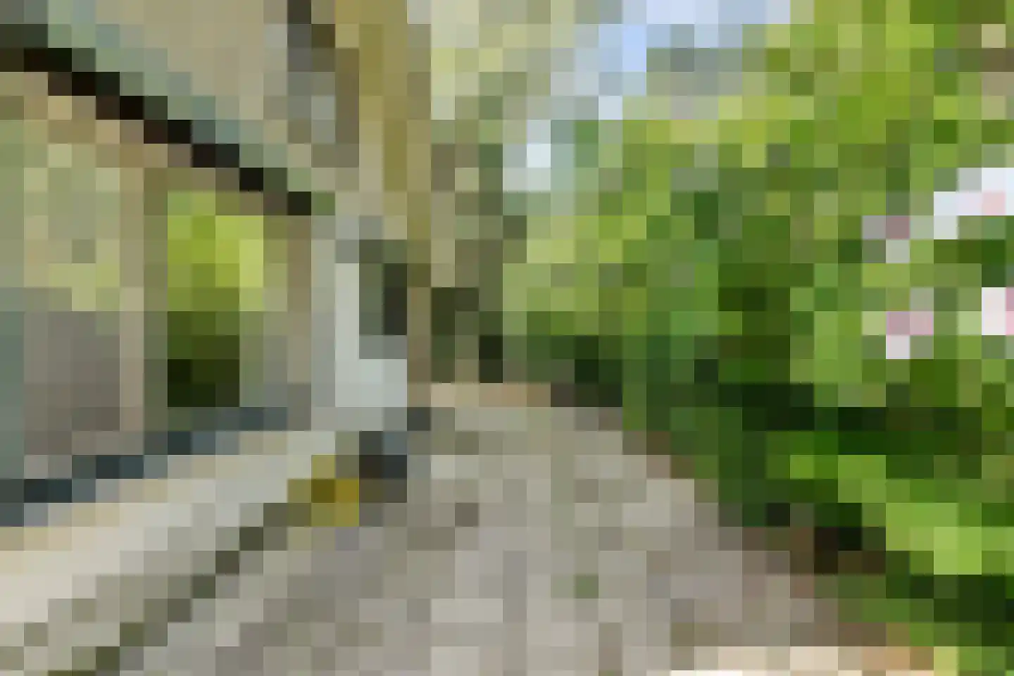Parklaan 4 Putte thumbnail 20