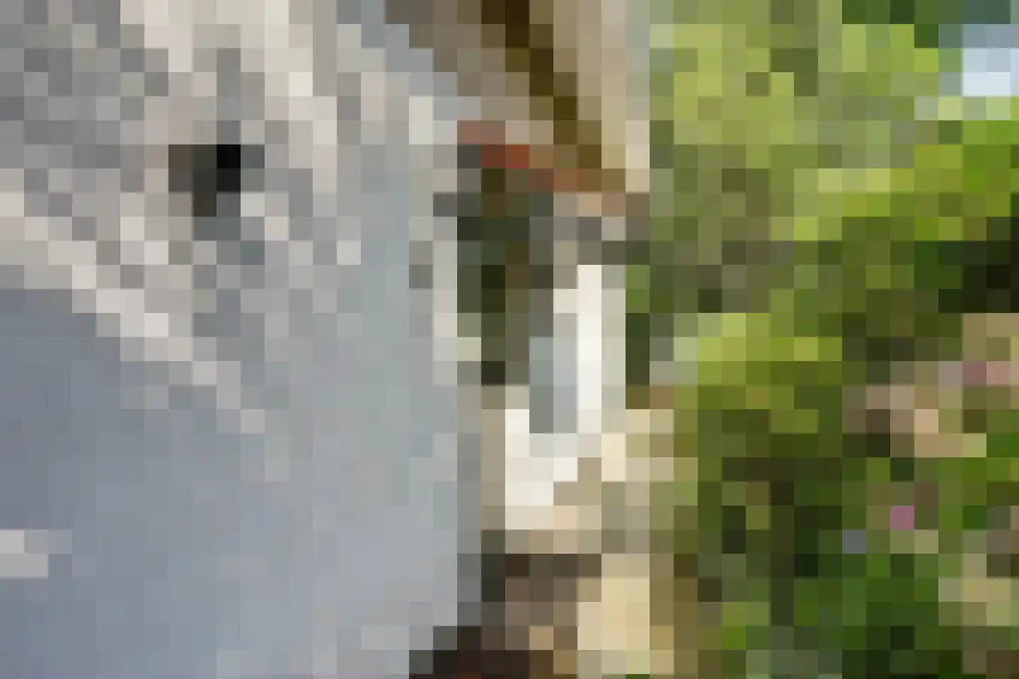 Parklaan 4 Putte thumbnail 21