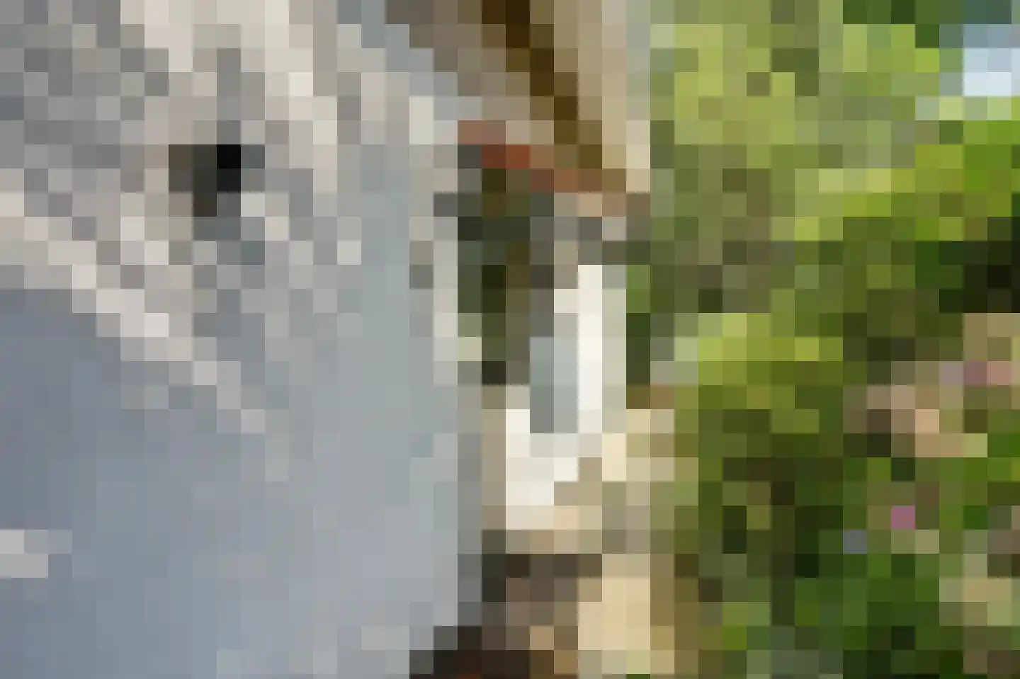 Parklaan 4 Putte thumbnail 21