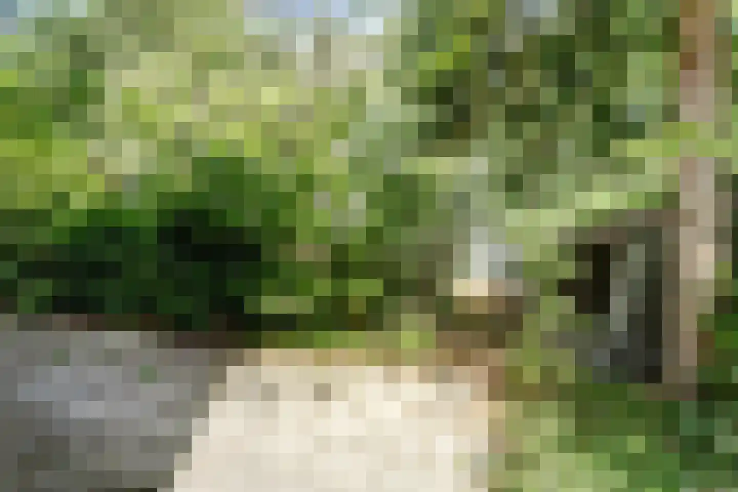 Parklaan 4 Putte thumbnail 22