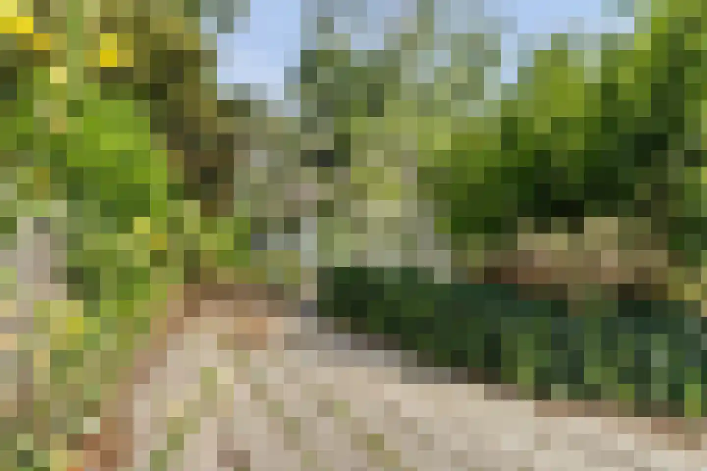 Parklaan 4 Putte thumbnail 23