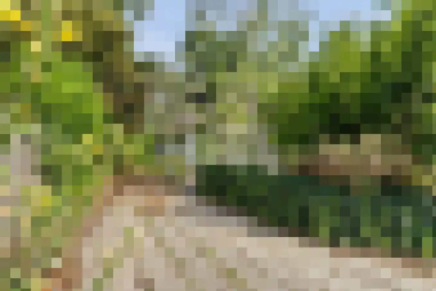 Parklaan 4 Putte thumbnail 23