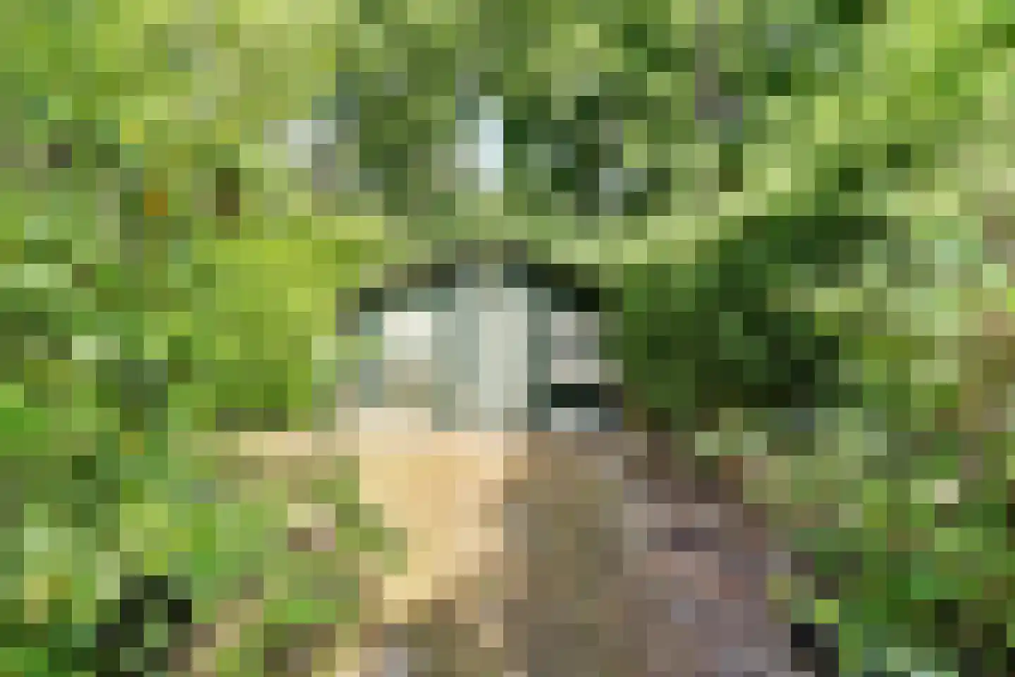 Parklaan 4 Putte thumbnail 24