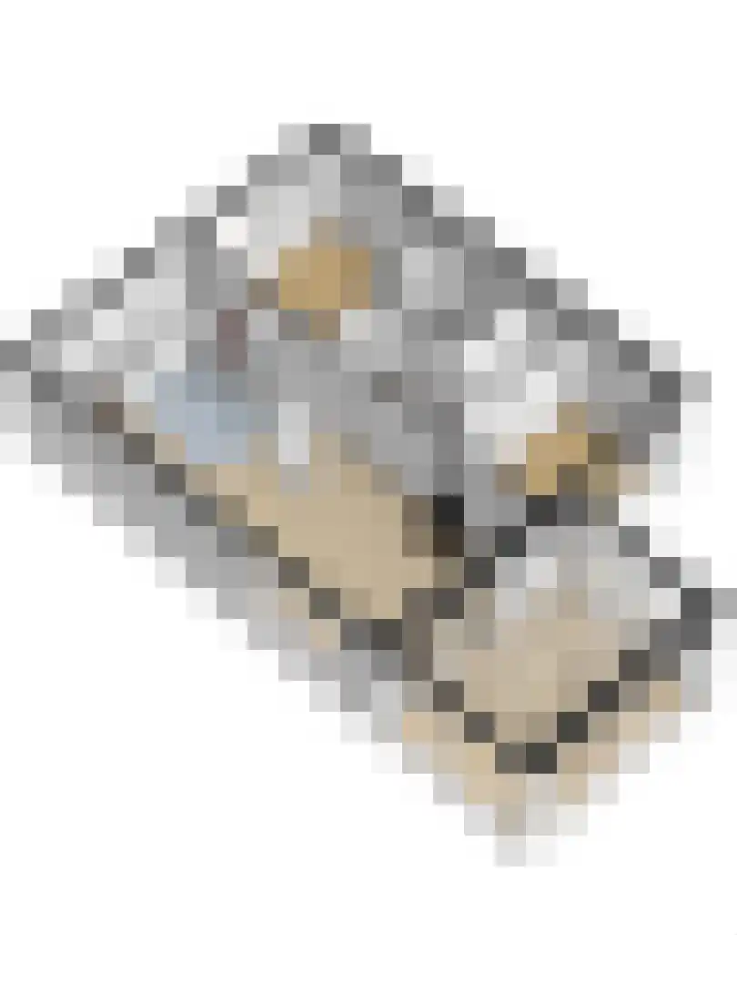 Parklaan 4 Putte thumbnail 26