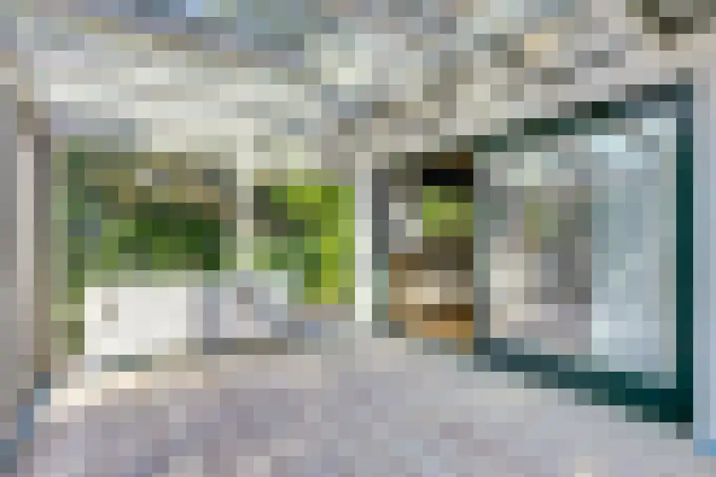 Parklaan 4 Putte thumbnail 6
