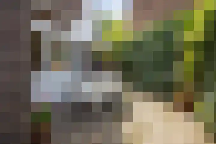 Parklaan 4 's-Hertogenbosch thumbnail 27