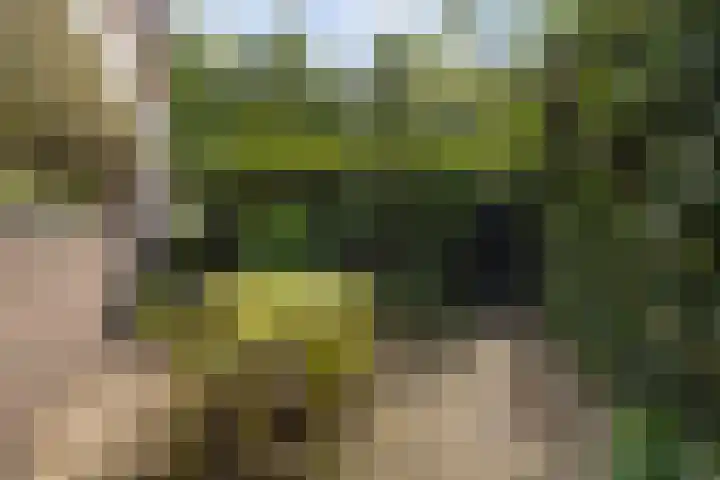 Parklaan 4 's-Hertogenbosch thumbnail 29