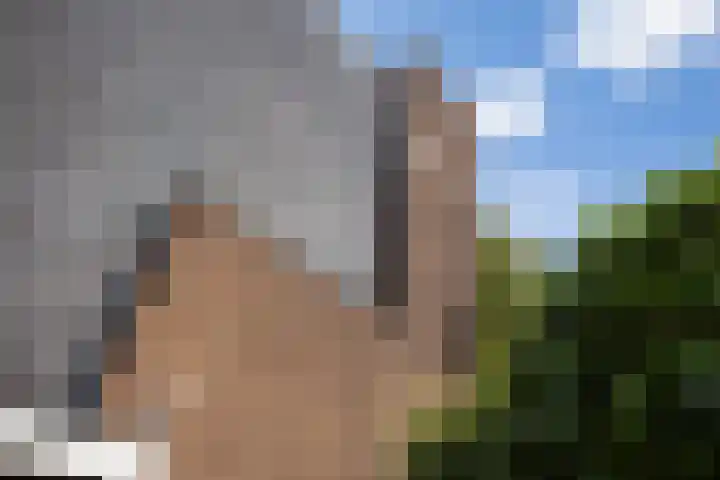 Parklaan 4 's-Hertogenbosch thumbnail 30