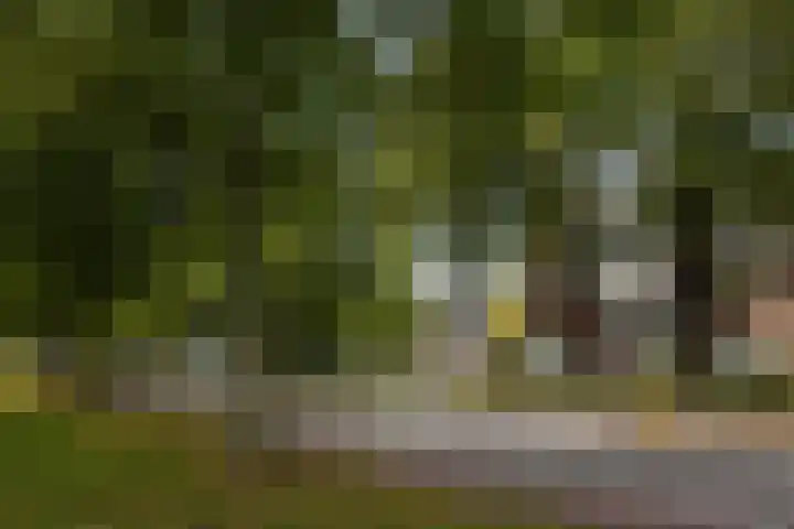 Parklaan 4 's-Hertogenbosch thumbnail 31