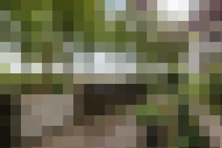 Parklaan 4 's-Hertogenbosch thumbnail 32