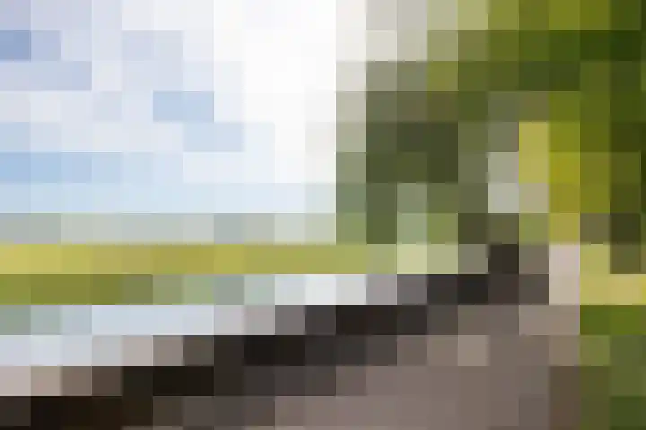 Parklaan 4 's-Hertogenbosch thumbnail 33