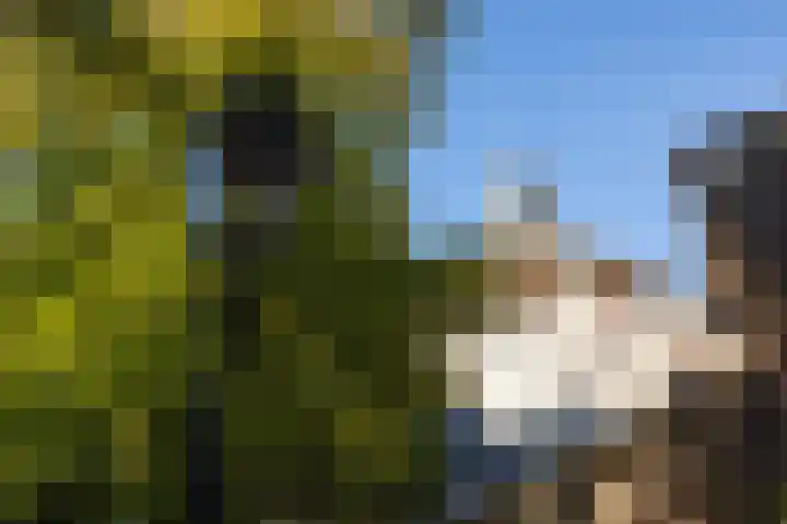 Parklaan 4 's-Hertogenbosch thumbnail 35