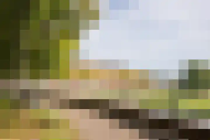 Parklaan 4 's-Hertogenbosch thumbnail 36
