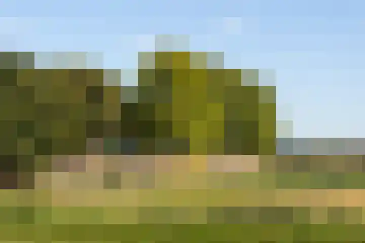 Parklaan 4 's-Hertogenbosch thumbnail 38